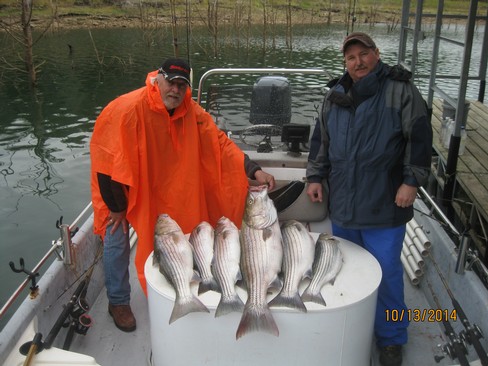 Nice Striped Bass